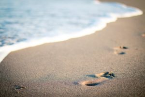 What are web page footprints, What are footprints, digital footprint examples, what is a digital footprint and why is it important, digital footprint facts, my digital footprint, digital footprint definition, passive digital footprint, how to protect your digital footprint, digital footprint video,